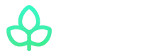 Minted web Design